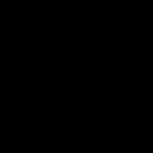 Meet your Posher, Vincent